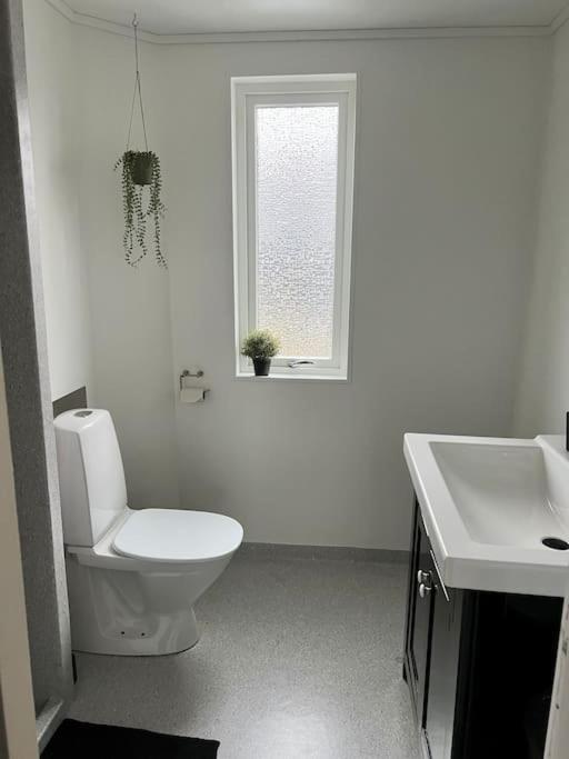 Apartment In The Center Of Torshavn, Free Parking. Tórshavn Exterior foto